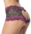 products/FLI-PAN-022-BRo.jpg