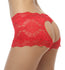 products/FLI-PAN-022-Re.jpg